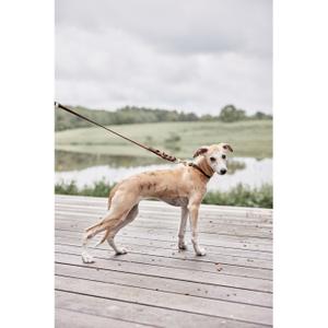 Leather collar with ring OYOY Living Design Zoo Robin image-1