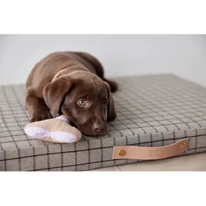 Brinquedo para cães Pelúcia em poliéster reciclado OYOY Living Design Zoo image-2