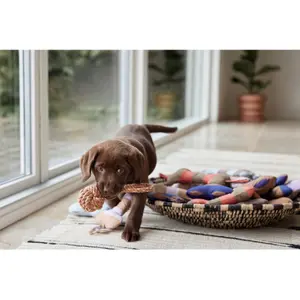 Juguete para perro Peluche de poliéster reciclado OYOY Living Design Zoo image-1