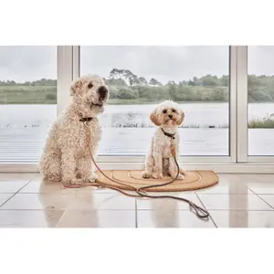 Laisse en cuir OYOY Living Design Zoo Robin image-1