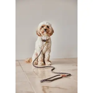 Laisse en cuir OYOY Living Design Zoo Robin image-2