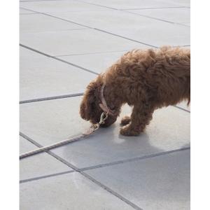 Halskette aus Leder OYOY Living Design Zoo image-2