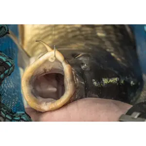 Crochets Preston KKM-B Size 14 Hooks (x10) image-2