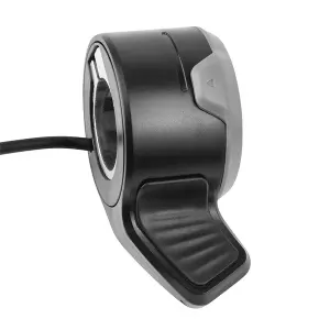 Speed control P2R NIU KQi3 image-0