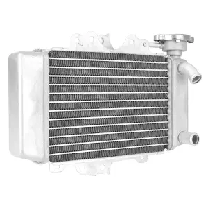 Watercooling radiator P2R Honda125 SH image-0