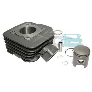 Cylinder P2R Peugeot 50 TKR, Trekker, Speedfight Air, Vivacity, Buxy, Squab, Zenith, Elyseo image-0