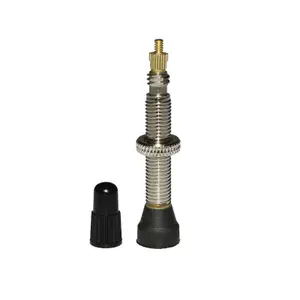 Βαλβίδα ελαστικού tubeless P2R Presta image-0