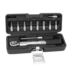 Torque wrench with allen sockets P2R