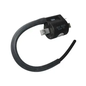 Bobina de ignição P2R SYM 50 Mio image-0