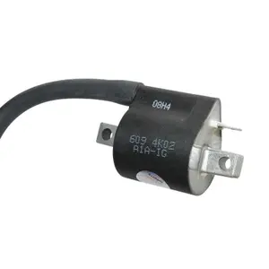 Bobina de ignição P2R SYM 50 Mio image-1