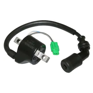 Bobine d'allumage P2R Suzuki 125 Burgman 1999>2006 image-0