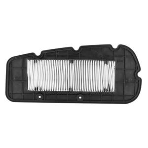 Filtro dell'aria P2R Sym 300 Citycom 2007>2015 image-0