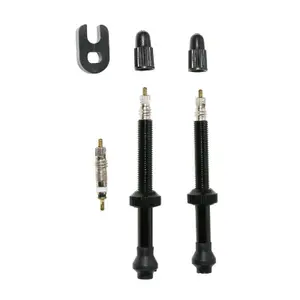 Ett par ventiler för slanglösa däck P2R Presta image-0