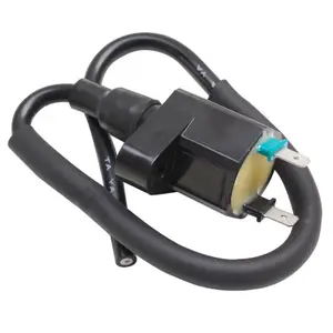 Bobine allumage droite P2R Peugeot 50 Tkr, Trekker, Speedfight, Ludix, Buxy, Elyseo, Looxor, Vivacity, 103 - Sym 50 Orbit 2T Et 4T - Kymco 50 Agility 2T, People, Super 9 - Honda 50 X8R image-0