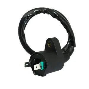 Bobine allumage droite P2R Cpi 50 Hussar, Oliver, Popcorn, Gtr