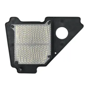 Φίλτρο αέρα P2R Yamaha 125 Ybr 2005>2016 Hfa4103 Oe 5vl-e4450-0000 image-2