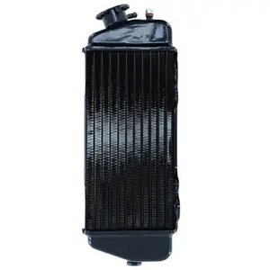 Radiateur P2R Beta 50 Rr image-0