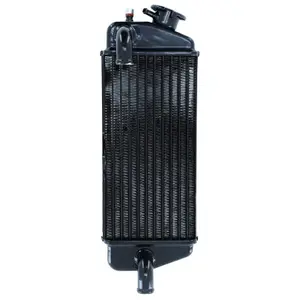 Radiateur P2R Beta 50 Rr image-1