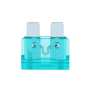 Embalagem de 10 fusíveis standard de encaixe plano P2R image-0