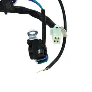 Statorontsteking P2R Yamaha 125 YBR 2005>2009-XTR-X 2008-2010 image-1