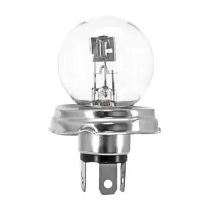 Projector halogen bulb P2R 45-40W P45T image-0