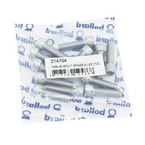 Bag of 12 screws / hexagon socket P2R image-1