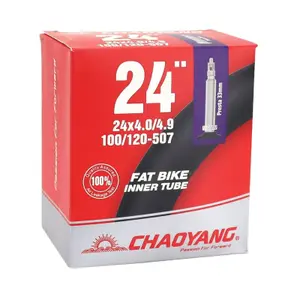 Presta valve air chamber P2R Chaoyang