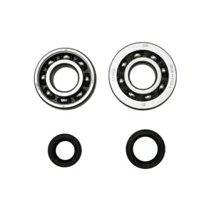 Kit de cojinetes de estanqueidad P2R Peugeot KIT SKF SC04A47CS image-0