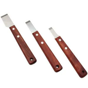 Set of 3 gasket scraper tools P2R image-0