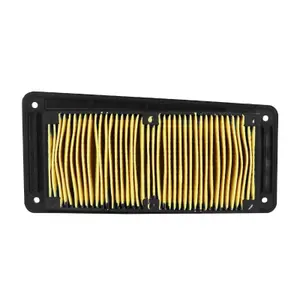 Filtro dell'aria P2R Sym 125-250 Joy Ride 2003>2015 image-0