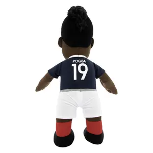 Poupluche France Paul Pogba image-1
