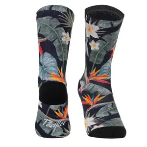 Chaussettes Pacific & Co Malay image-0
