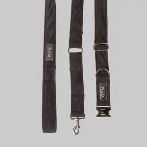 Packung Halsband &amp; Leine für Hunde GEM image-0