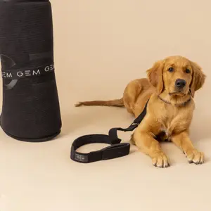 Packung Halsband &amp; Leine für Hunde GEM image-1