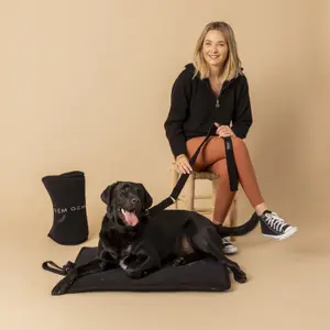 Packung Halsband &amp; Leine für Hunde GEM image-3