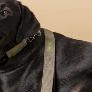 Halsband &amp; riem GEM image-1