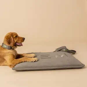 Halsband &amp; riem GEM image-2