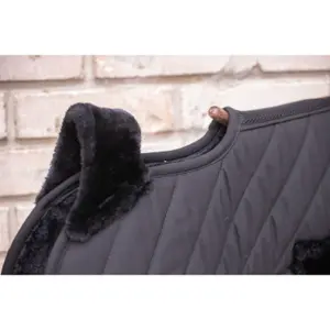 Amortecedor de choque para cavalos Paddock Sports Diagonal Light image-1