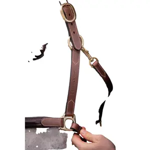 Cabresto de couro para cavalos Paddock Sports