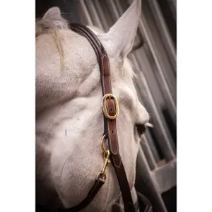Cabresto de couro para cavalos Paddock Sports image-3
