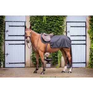 Couvre-reins pour cheval Paddock Sports Quarter Classic Rain image-1
