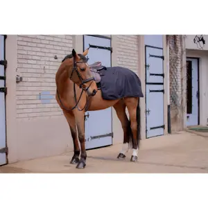Couvre-reins pour cheval Paddock Sports Quarter Classic Rain image-2