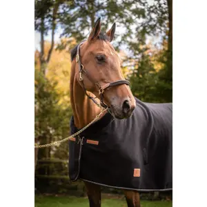 Camisa polar para cavalo diagonal Paddock Sports image-5