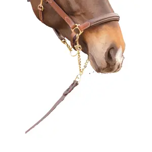 Longe de présentation Paddock Sports