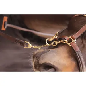 Longe de présentation Paddock Sports image-1