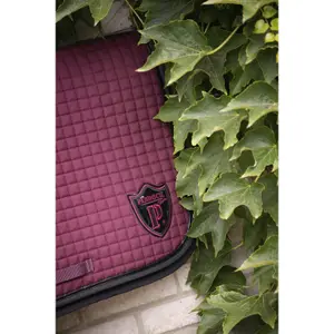 Dressuurmat voor Amerikaans paard Paddock image-3