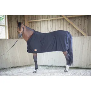 Secar la camisa del caballo Paddock Sports