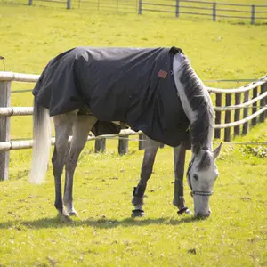 Coperta da esterno per cavalli Paddock 250 g image-0