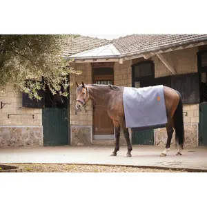 Carré de laine pour cheval Paddock image-3