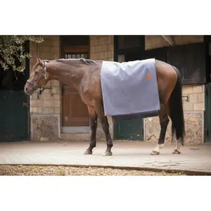 Carré de laine pour cheval Paddock image-5
